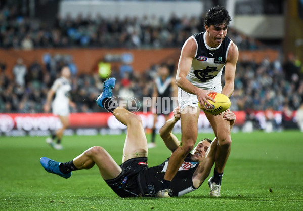 AFL 2024 Round 12 - Port Adelaide v Carlton - A-49840926