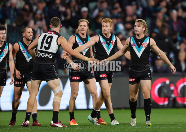 AFL 2024 Round 12 - Port Adelaide v Carlton - A-49840933