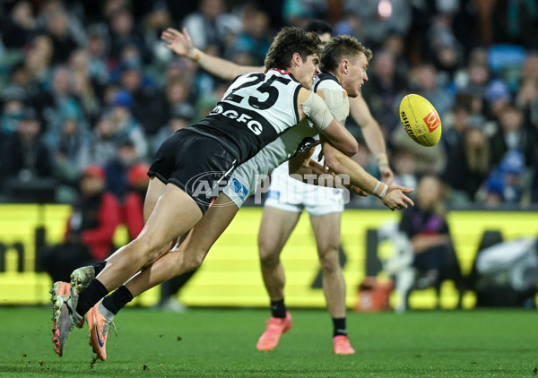 AFL 2024 Round 12 - Port Adelaide v Carlton - A-49840939