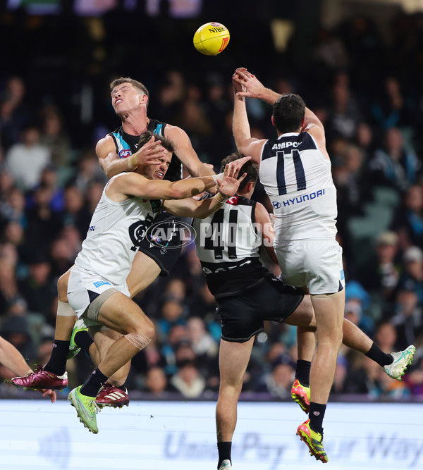 AFL 2024 Round 12 - Port Adelaide v Carlton - A-49840941