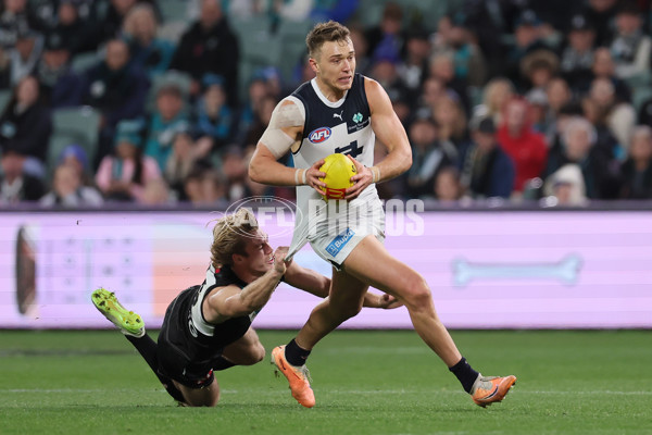 AFL 2024 Round 12 - Port Adelaide v Carlton - A-49840942