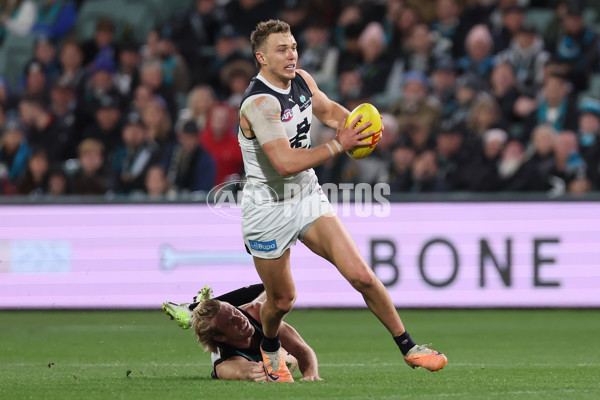 AFL 2024 Round 12 - Port Adelaide v Carlton - A-49842599