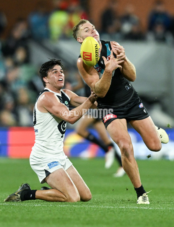 AFL 2024 Round 12 - Port Adelaide v Carlton - A-49842615