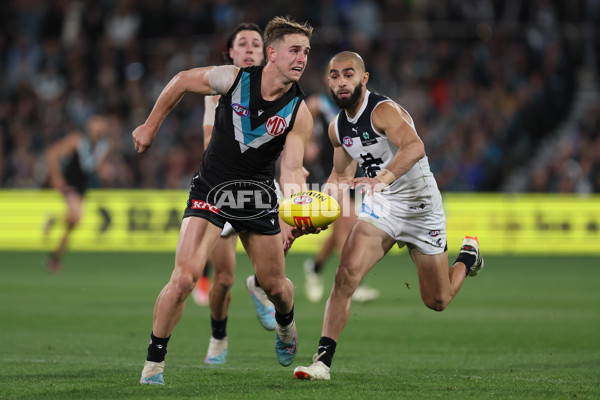 AFL 2024 Round 12 - Port Adelaide v Carlton - A-49842623