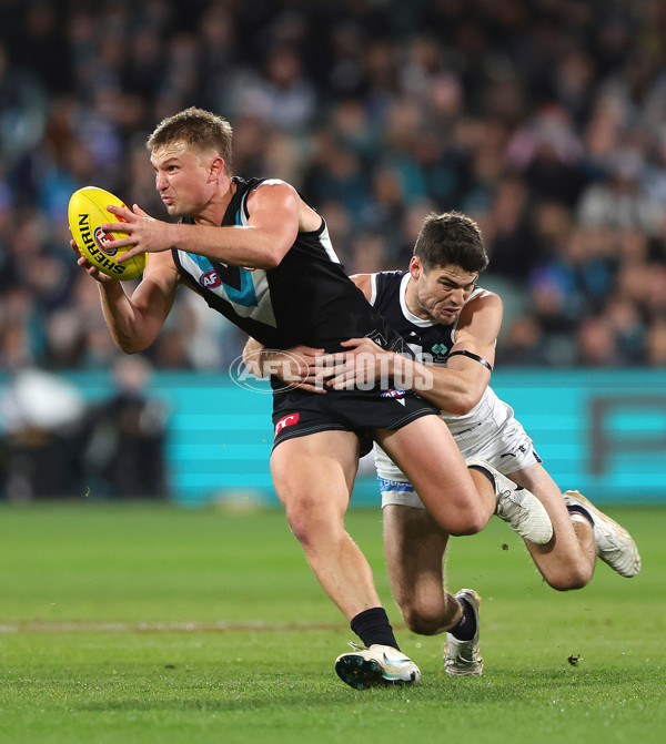 AFL 2024 Round 12 - Port Adelaide v Carlton - A-49842631