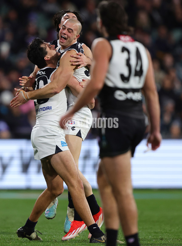 AFL 2024 Round 12 - Port Adelaide v Carlton - A-49842642