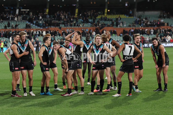 AFL 2024 Round 12 - Port Adelaide v Carlton - A-49842674