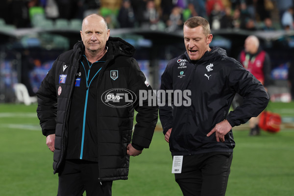 AFL 2024 Round 12 - Port Adelaide v Carlton - A-49842680