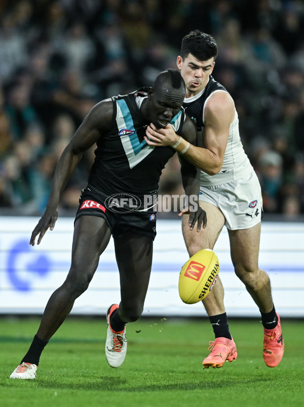 AFL 2024 Round 12 - Port Adelaide v Carlton - A-49843519