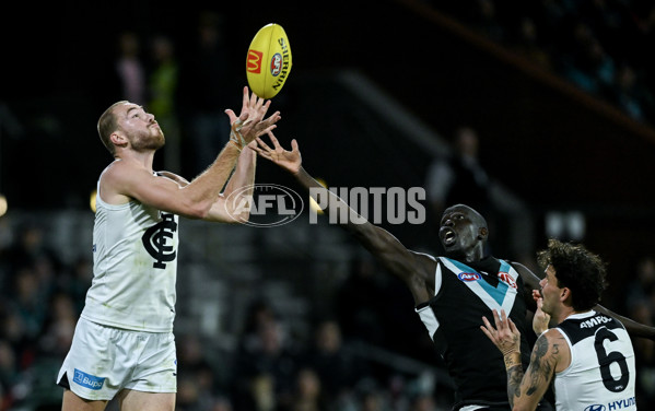 AFL 2024 Round 12 - Port Adelaide v Carlton - A-49843522