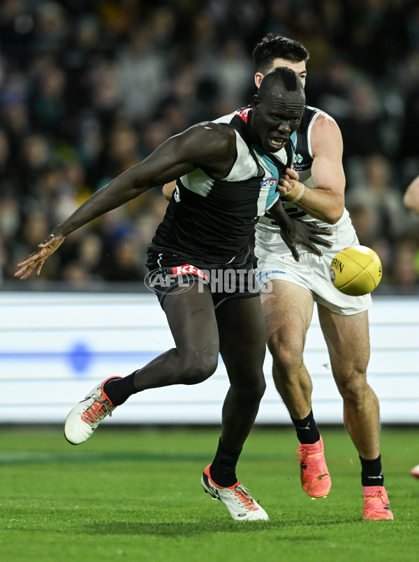 AFL 2024 Round 12 - Port Adelaide v Carlton - A-49843524