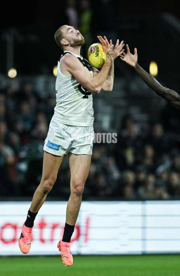 AFL 2024 Round 12 - Port Adelaide v Carlton - A-49843525