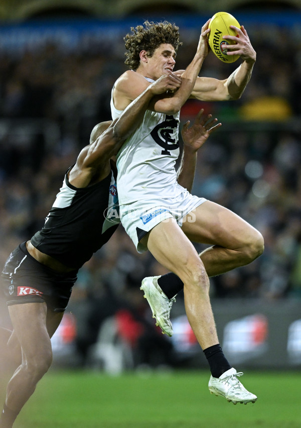 AFL 2024 Round 12 - Port Adelaide v Carlton - A-49843530