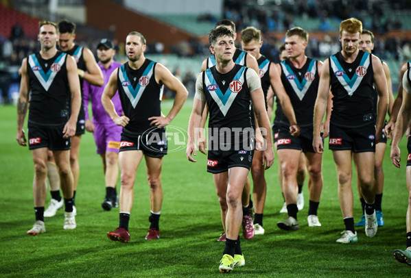 AFL 2024 Round 12 - Port Adelaide v Carlton - A-49845224