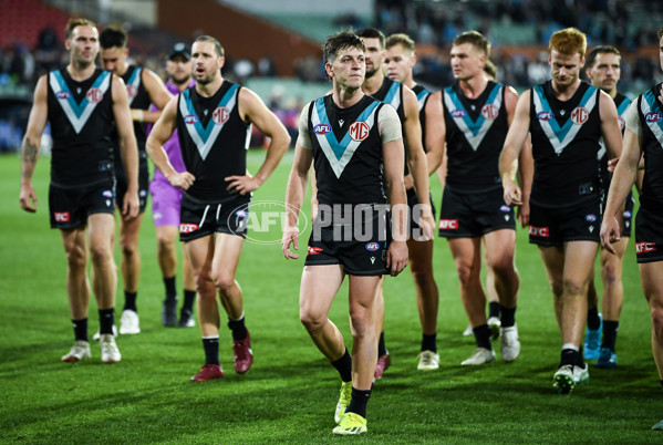 AFL 2024 Round 12 - Port Adelaide v Carlton - A-49845225