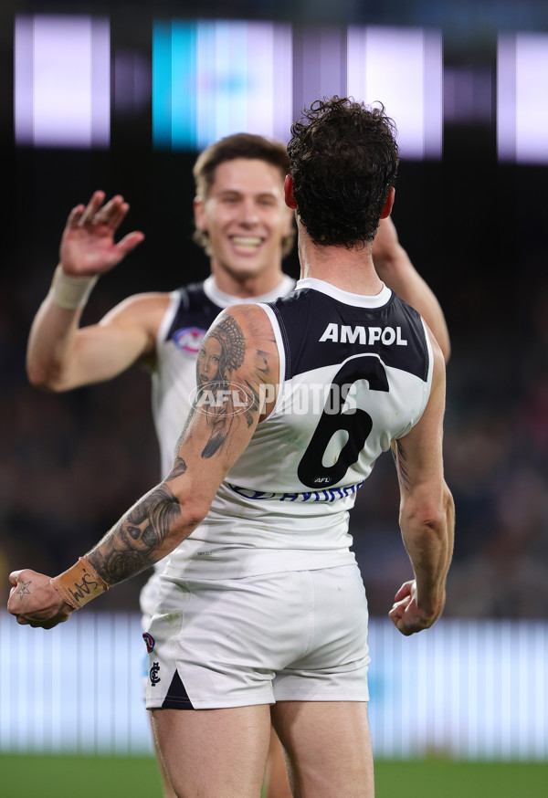 AFL 2024 Round 12 - Port Adelaide v Carlton - A-49845249