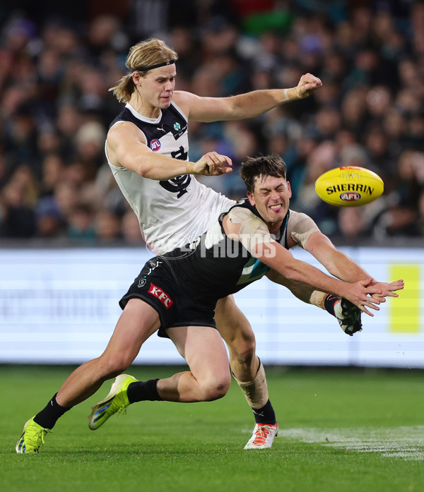 AFL 2024 Round 12 - Port Adelaide v Carlton - A-49845272