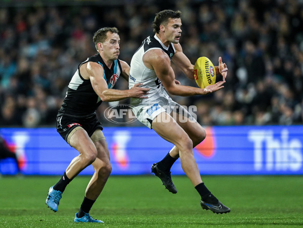 AFL 2024 Round 12 - Port Adelaide v Carlton - A-49845291