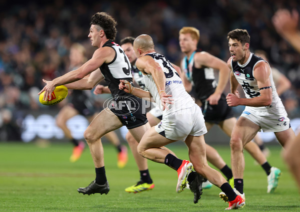 AFL 2024 Round 12 - Port Adelaide v Carlton - A-49845308