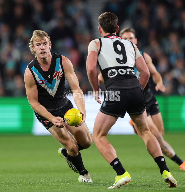 AFL 2024 Round 12 - Port Adelaide v Carlton - A-49845311