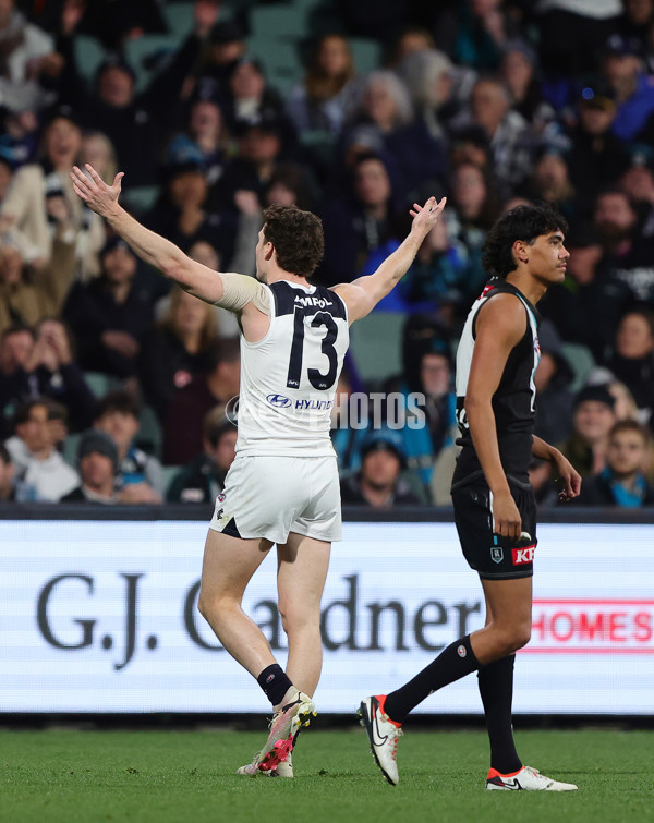 AFL 2024 Round 12 - Port Adelaide v Carlton - A-49846041