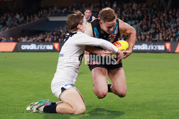 AFL 2024 Round 12 - Port Adelaide v Carlton - A-49846055