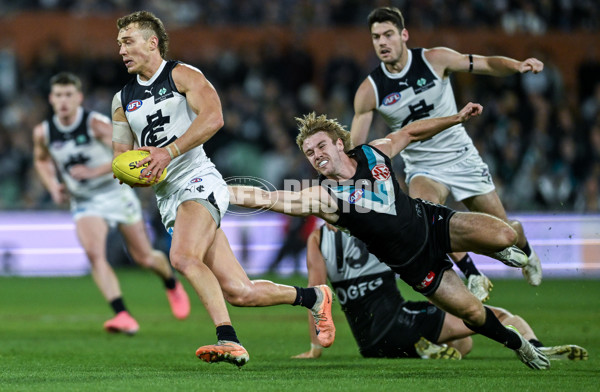 AFL 2024 Round 12 - Port Adelaide v Carlton - A-49846067