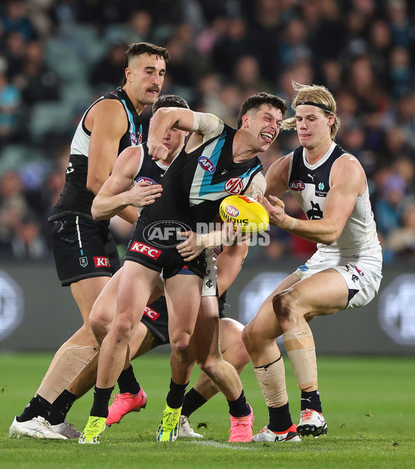 AFL 2024 Round 12 - Port Adelaide v Carlton - A-49846076