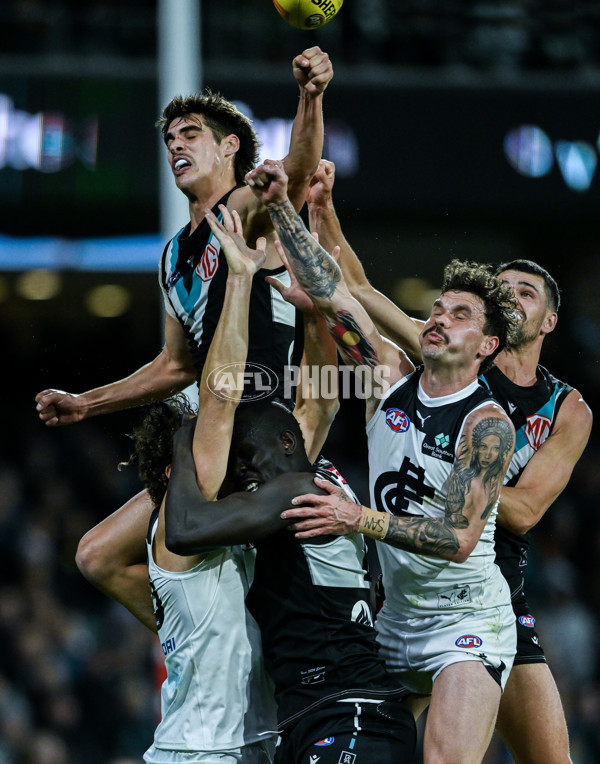 AFL 2024 Round 12 - Port Adelaide v Carlton - A-49846093