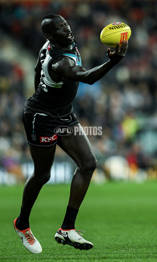 AFL 2024 Round 12 - Port Adelaide v Carlton - A-49846099