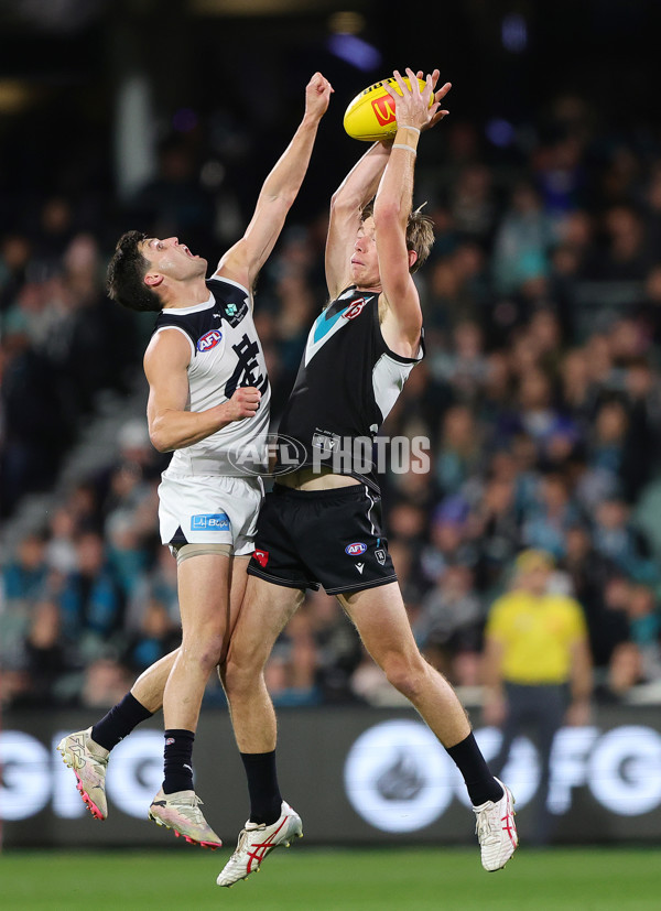 AFL 2024 Round 12 - Port Adelaide v Carlton - A-49846100