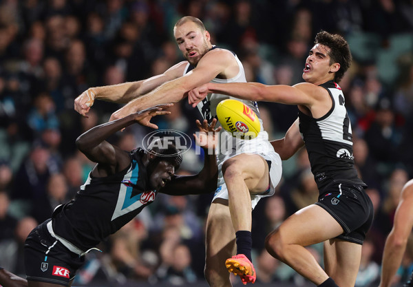 AFL 2024 Round 12 - Port Adelaide v Carlton - A-49846103