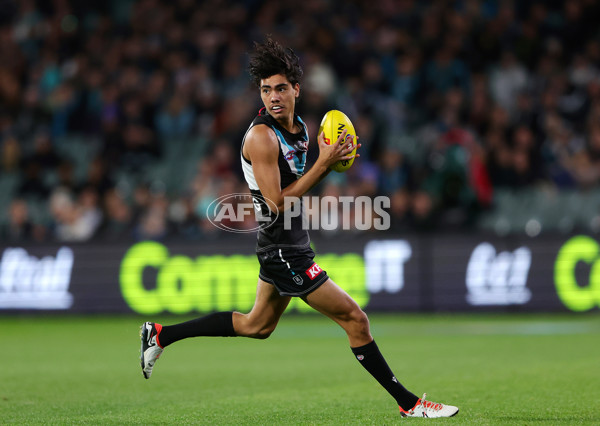 AFL 2024 Round 12 - Port Adelaide v Carlton - A-49846115