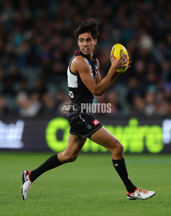 AFL 2024 Round 12 - Port Adelaide v Carlton - A-49846116