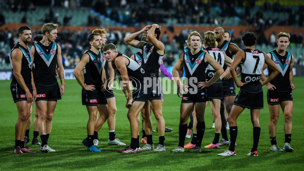 AFL 2024 Round 12 - Port Adelaide v Carlton - A-49848350