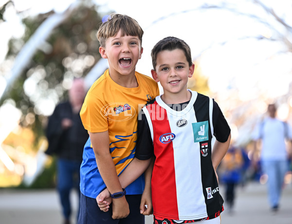 AFL 2024 Round 12 - West Coast v St Kilda - A-49875688