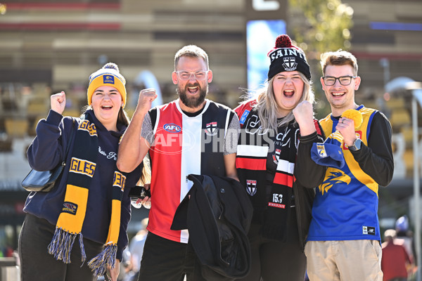 AFL 2024 Round 12 - West Coast v St Kilda - A-49876376
