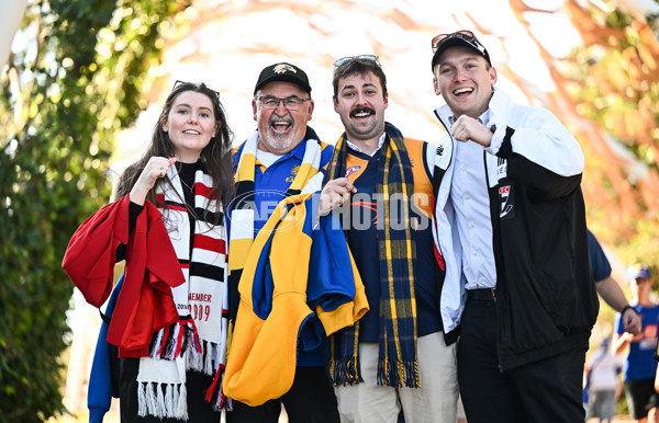 AFL 2024 Round 12 - West Coast v St Kilda - A-49876379