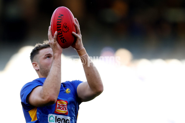 AFL 2024 Round 12 - West Coast v St Kilda - A-49878156