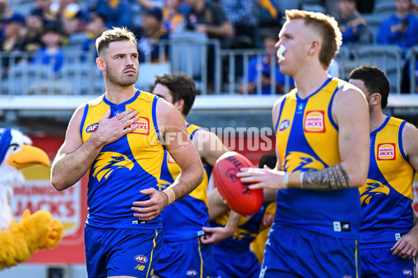AFL 2024 Round 12 - West Coast v St Kilda - A-49881115