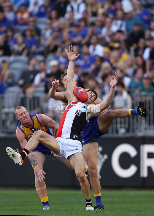 AFL 2024 Round 12 - West Coast v St Kilda - A-49881168