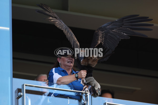 AFL 2024 Round 12 - West Coast v St Kilda - A-49881301