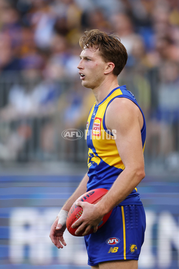 AFL 2024 Round 12 - West Coast v St Kilda - A-49883647