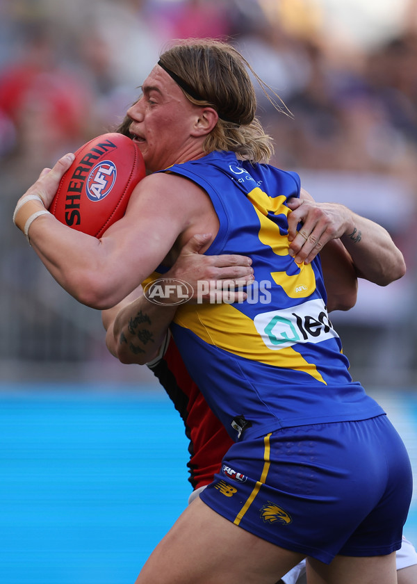 AFL 2024 Round 12 - West Coast v St Kilda - A-49883658