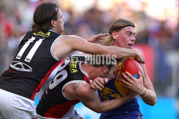 AFL 2024 Round 12 - West Coast v St Kilda - A-49883659