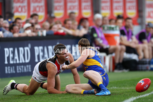 AFL 2024 Round 12 - West Coast v St Kilda - A-49883673