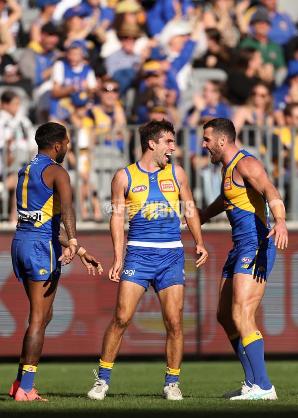 AFL 2024 Round 12 - West Coast v St Kilda - A-49883680