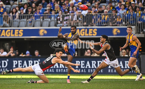 AFL 2024 Round 12 - West Coast v St Kilda - A-49883685