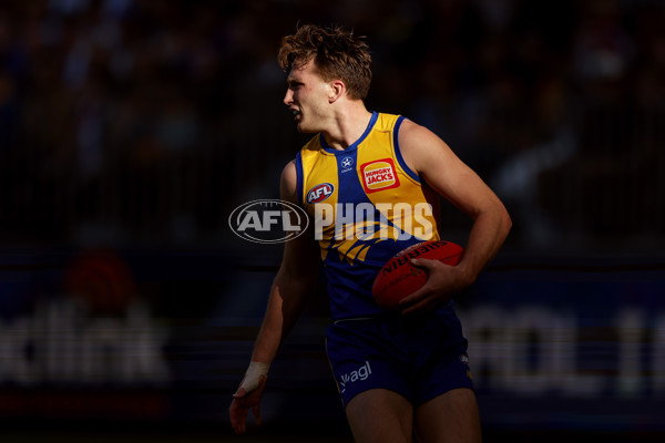 AFL 2024 Round 12 - West Coast v St Kilda - A-49883756