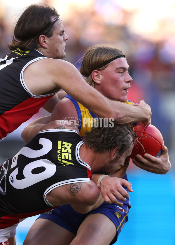 AFL 2024 Round 12 - West Coast v St Kilda - A-49883771